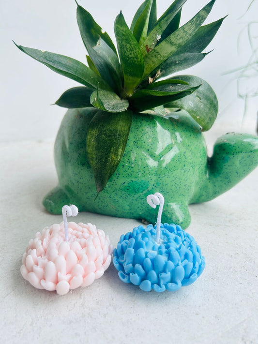 Flower Shape Decorative Scented Candles for Home Décor & Gifting – Set of 2
